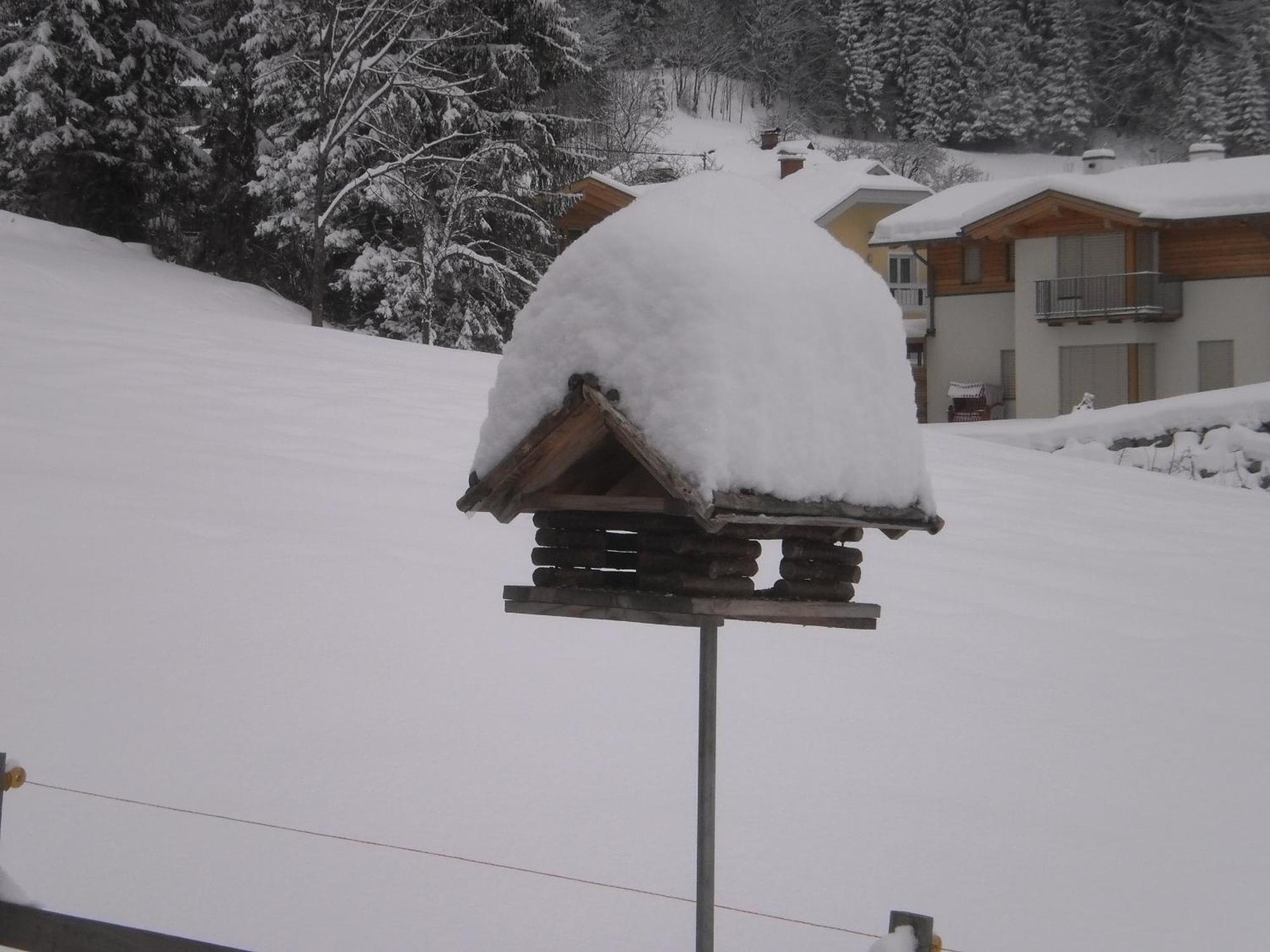 Haus Birke Apartment Weissensee Exterior photo